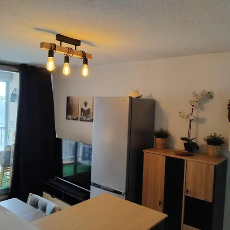 Cosy Avec Balcon, Animaux Admis, Parking - Fr-1-503-172