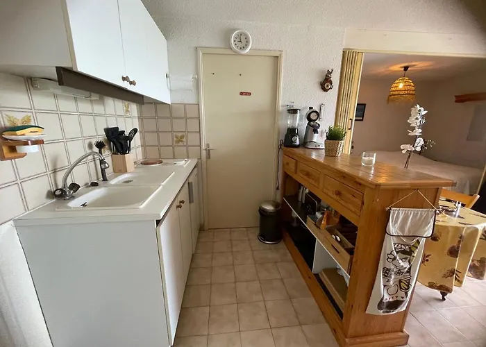 Cosy Avec Balcon, Animaux Admis, Parking - Fr-1-503-172 Appartement Balaruc-les-Bains