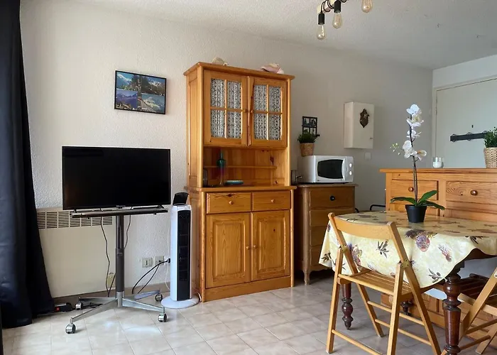 Appartement Cosy Avec Balcon, Animaux Admis, Parking - Fr-1-503-172 Balaruc-les-Bains