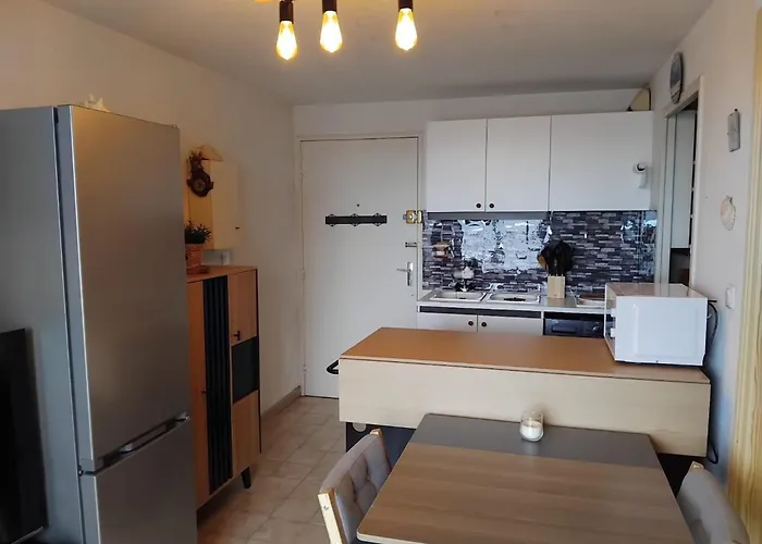 Appartement Cosy Avec Balcon, Animaux Admis, Parking - Fr-1-503-172 *