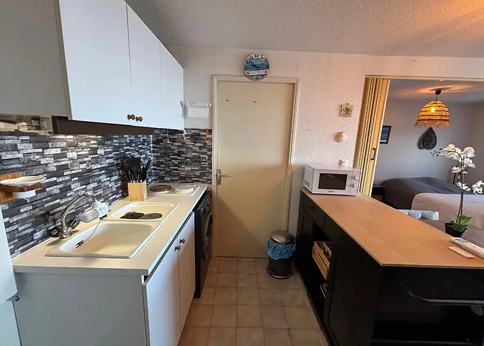 Cosy Avec Balcon, Animaux Admis, Parking - Fr-1-503-172 Balaruc-les-Bains